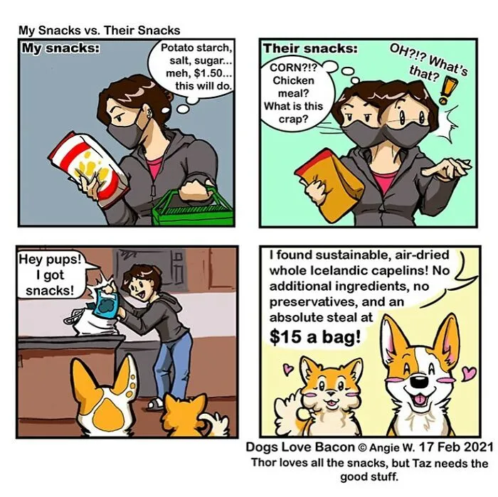 I Illustrate My Life With Two Rescue Dogs, And Here Are My Best 19 Comics