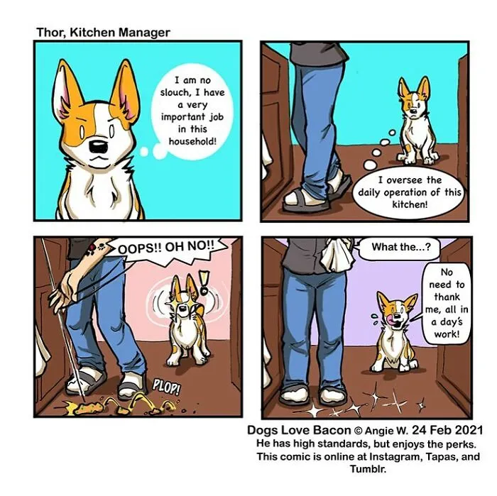 I Illustrate My Life With Two Rescue Dogs, And Here Are My Best 19 Comics