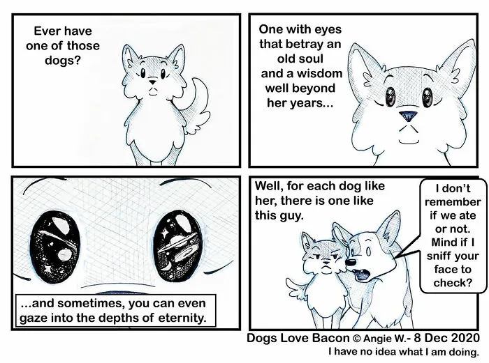 I Illustrate My Life With Two Rescue Dogs, And Here Are My Best 19 Comics