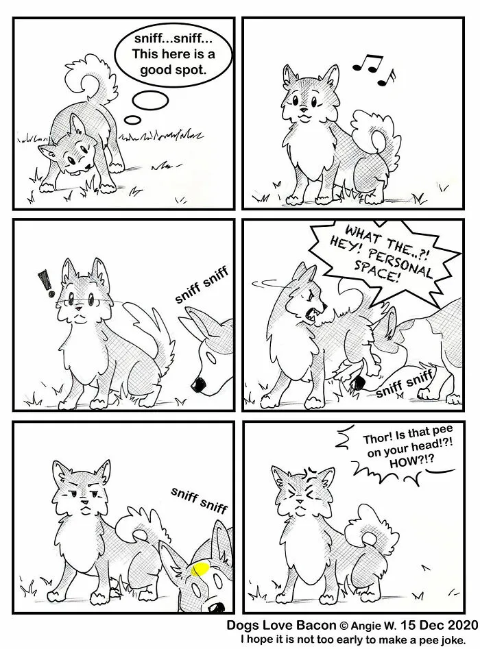 I Illustrate My Life With Two Rescue Dogs, And Here Are My Best 19 Comics