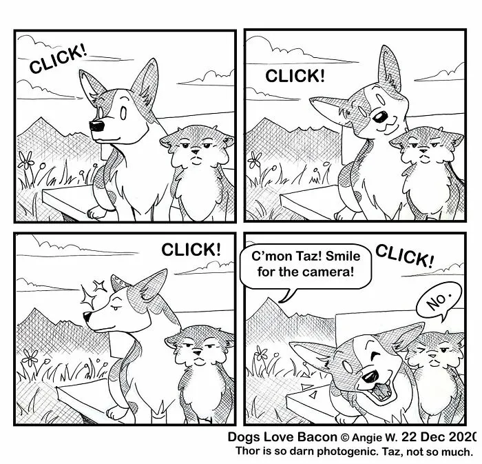 I Illustrate My Life With Two Rescue Dogs, And Here Are My Best 19 Comics