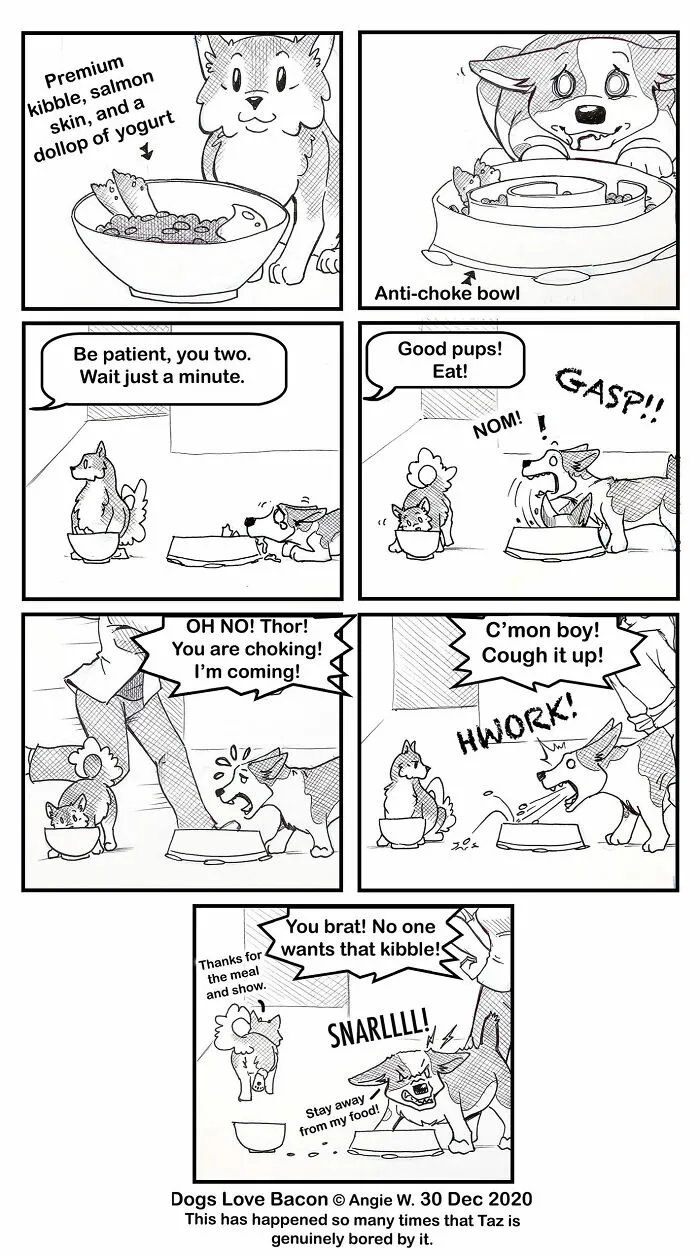 I Illustrate My Life With Two Rescue Dogs, And Here Are My Best 19 Comics