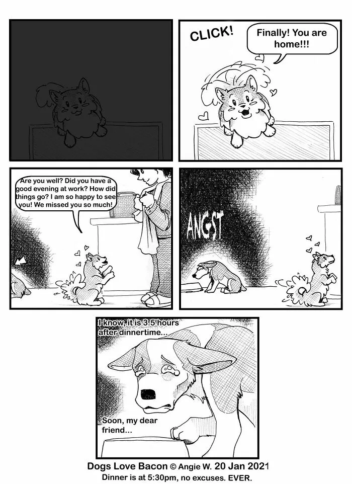 I Illustrate My Life With Two Rescue Dogs, And Here Are My Best 19 Comics