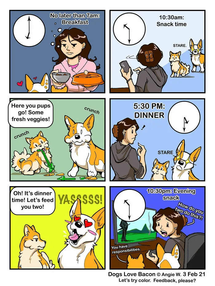 I Illustrate My Life With Two Rescue Dogs, And Here Are My Best 19 Comics