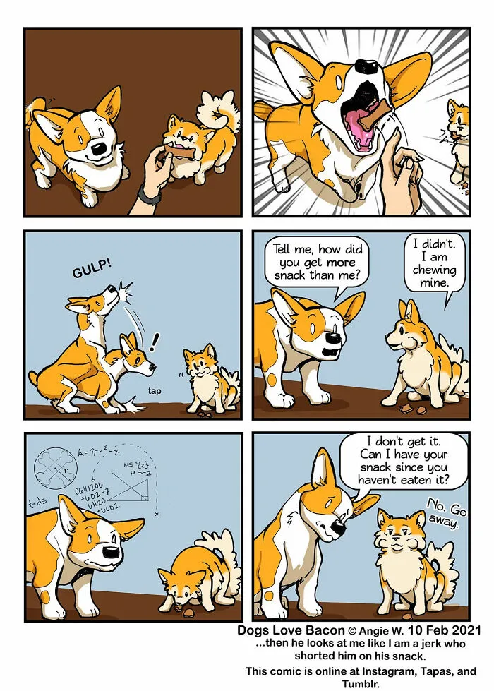 I Illustrate My Life With Two Rescue Dogs, And Here Are My Best 19 Comics