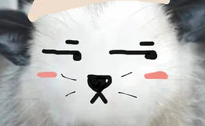 Hey Pandas, Draw A Face For This Opossum (Closed)