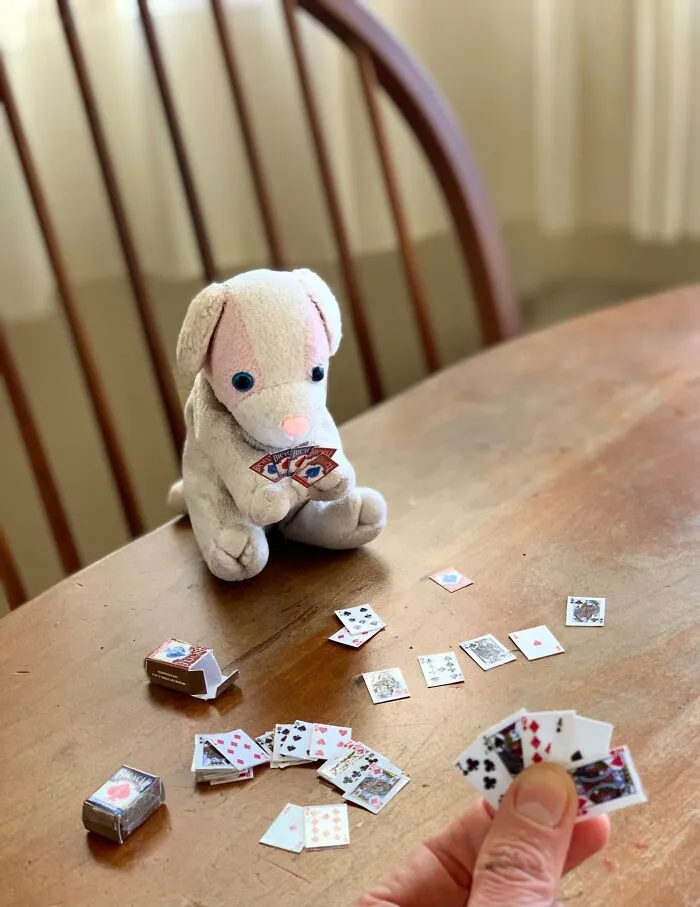 We Always Find A Way To Pass The Time Together. I Think He's Cheating Though...