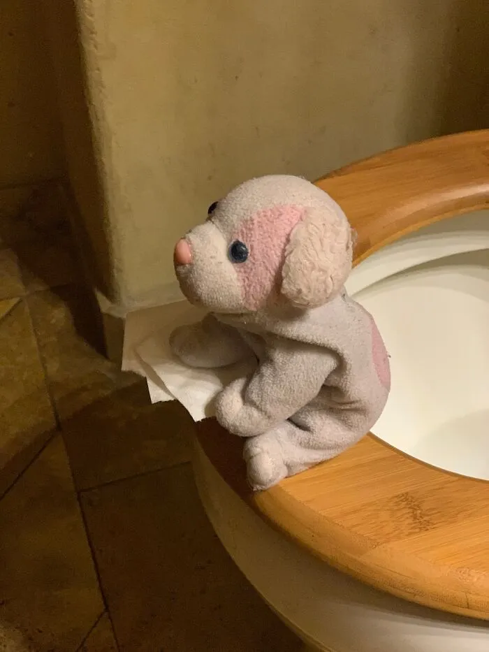 We Also Did All Of The Usual Things A Good Boy Does Before Going To Bed