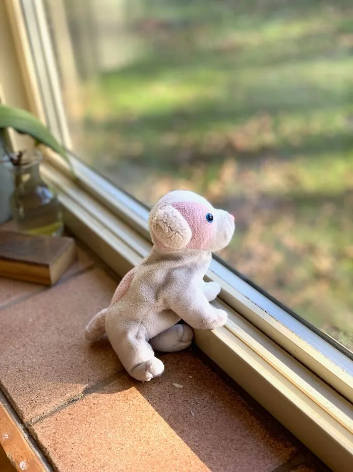 Thinking Of His Mommy