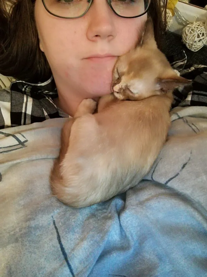 My Little Ingrid