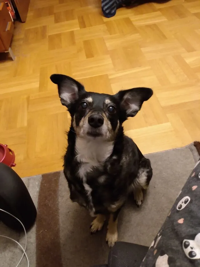 Grella ( Name After A Troll From Wow)