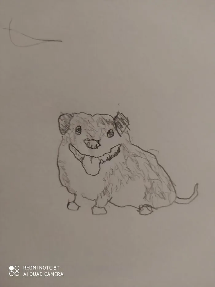An Attempt Was Made...