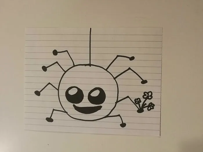 A Friendly Spider