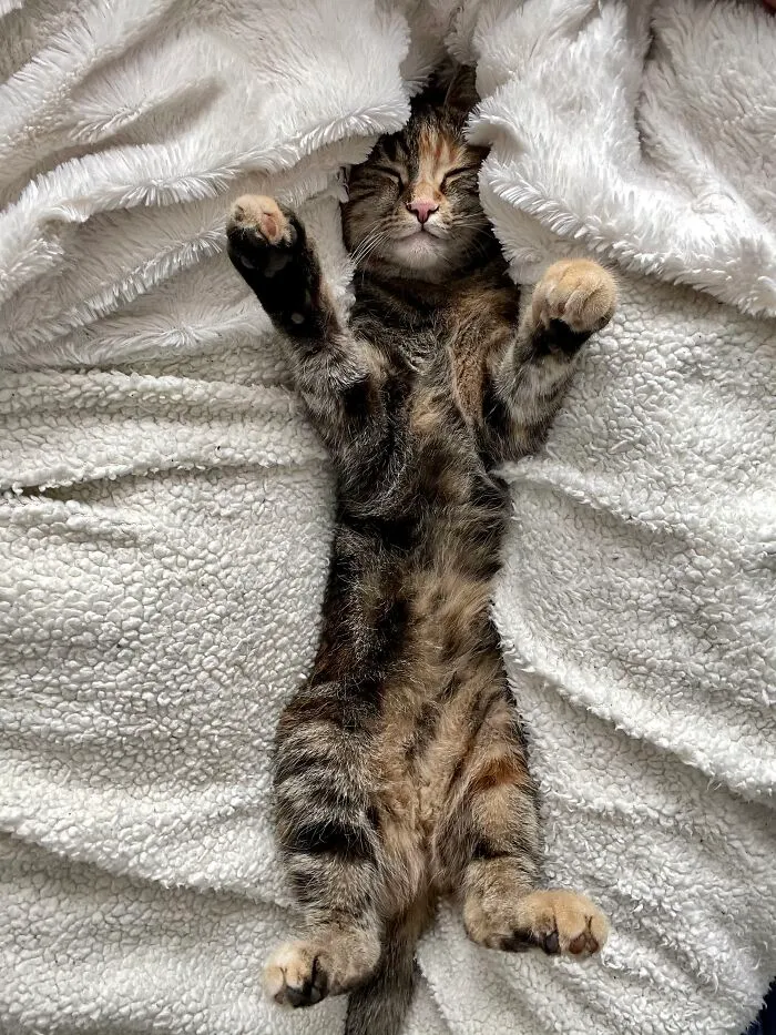 ... And On Sundays We Do Nothing