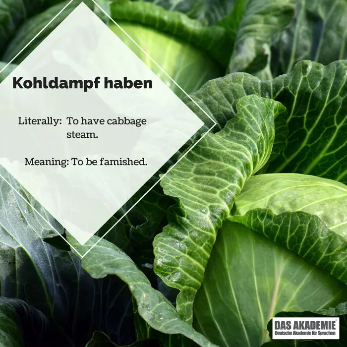 Kohldampf Haben