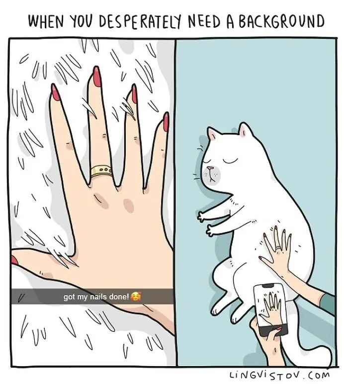 Artist Illustrates Hilarious Moments In The Life Of Every Cat Owner (30 New Pics)