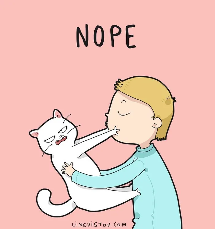 Artist Illustrates Hilarious Moments In The Life Of Every Cat Owner (30 New Pics)