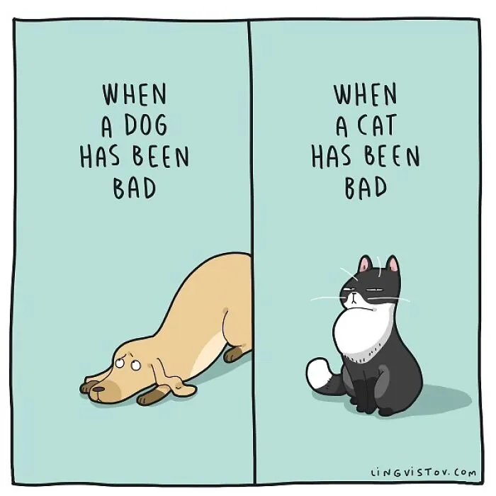 Lingvistov Comics Shows What It's Like To Live With A Cat Daily (New Pics)