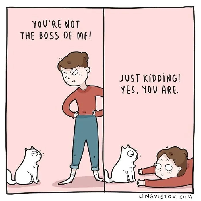 Artist Illustrates Hilarious Moments In The Life Of Every Cat Owner (30 New Pics)