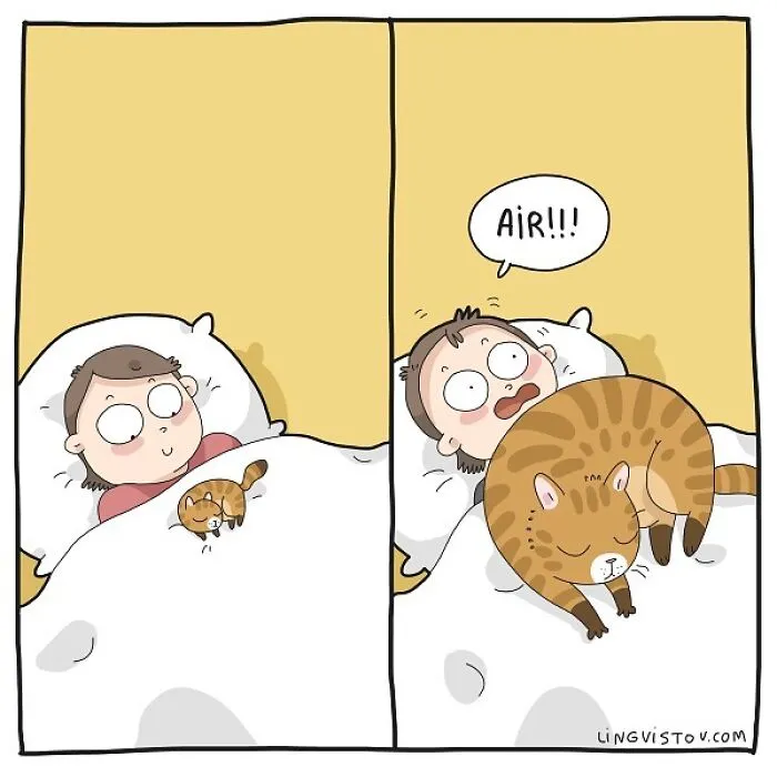Artist Illustrates Hilarious Moments In The Life Of Every Cat Owner (30 New Pics)