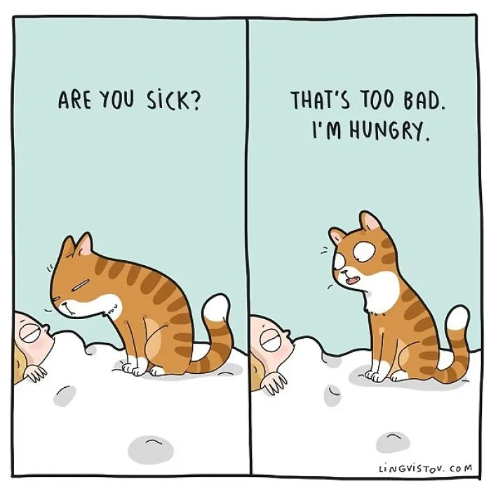 Artist Illustrates Hilarious Moments In The Life Of Every Cat Owner (30 New Pics)