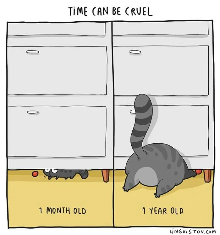 Artist Illustrates Hilarious Moments In The Life Of Every Cat Owner (30 New Pics)
