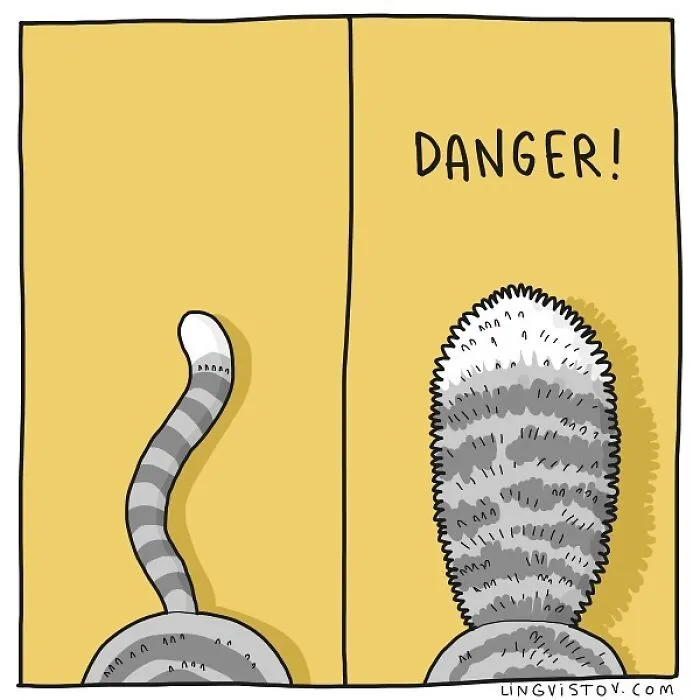 Artist Illustrates Hilarious Moments In The Life Of Every Cat Owner (30 New Pics)