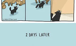 Artist Illustrates Hilarious Moments In The Life Of Every Cat Owner (30 New Pics)