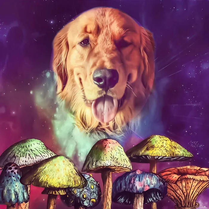 Butters Spiritual Awakening Course