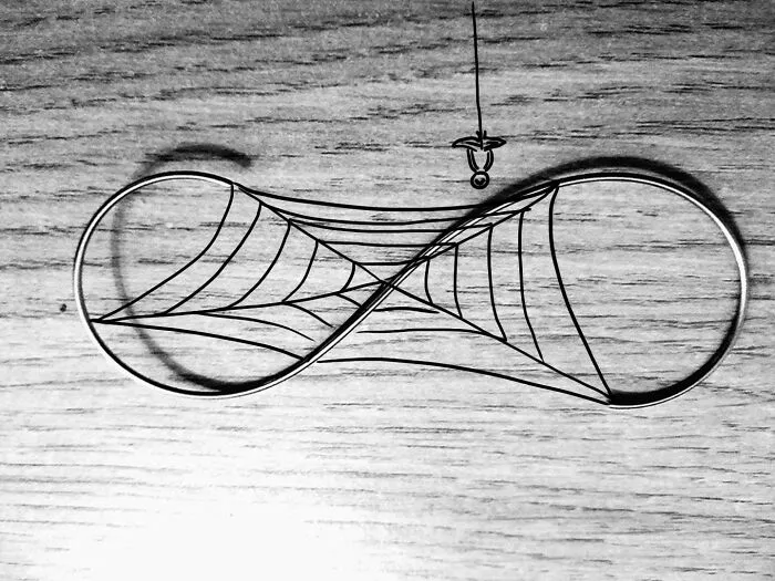 Spiderfinity (By Oliko Nadiradze)