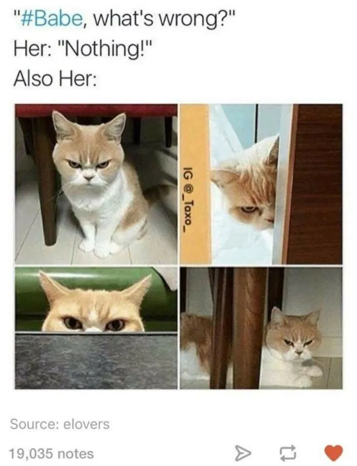 True