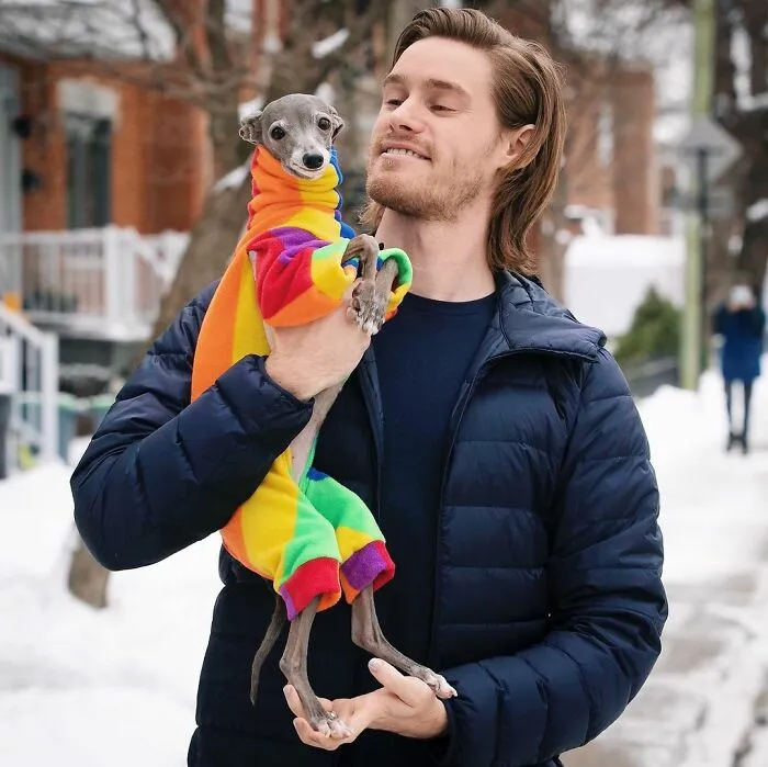 Gay Couple Dresses Up Their Italian Greyhound In Trendy Clothes, And She Has Become A Fashion Icon (71 Pics)