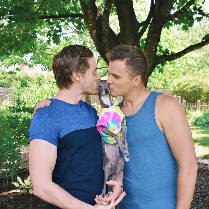 Gay Couple Dresses Up Their Italian Greyhound In Trendy Clothes, And She Has Become A Fashion Icon (71 Pics)
