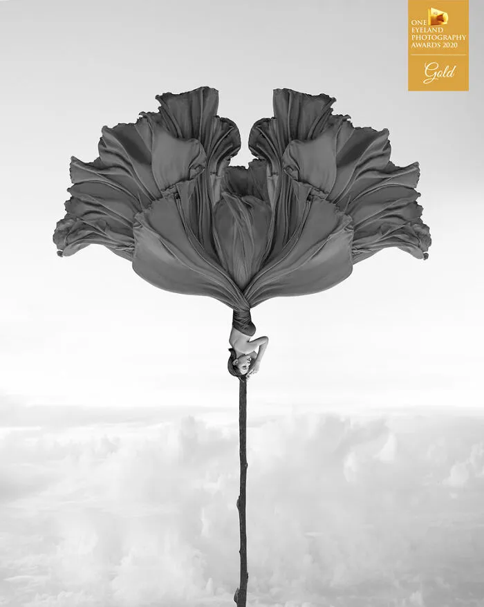 Two Sided Windflower By Kenneth Lam. Gold In Fine Art