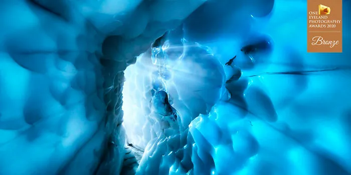 Subzero By Craig Bill. Bronze In Special
