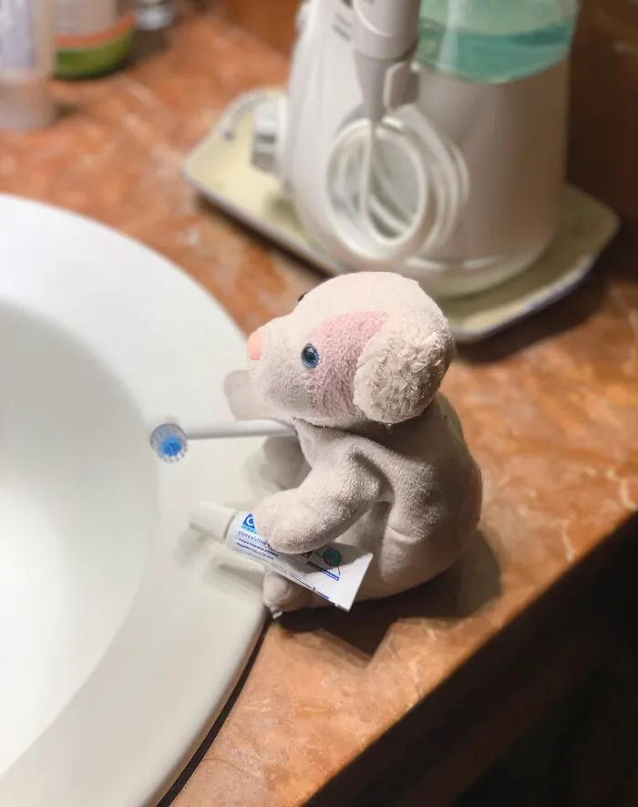 We Brushed His Teeth