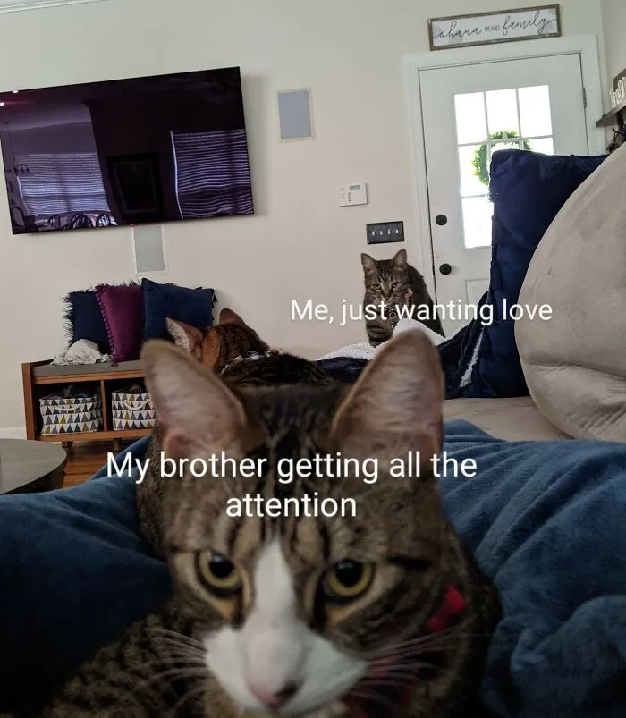 I Hate When This Happens