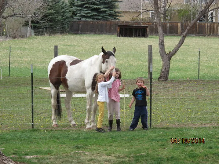 I'm To The Right, Eating A Carrot.