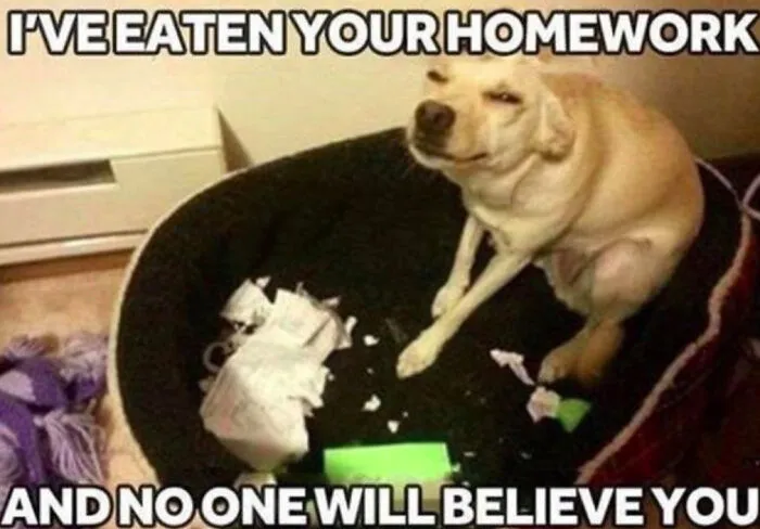 Hehe