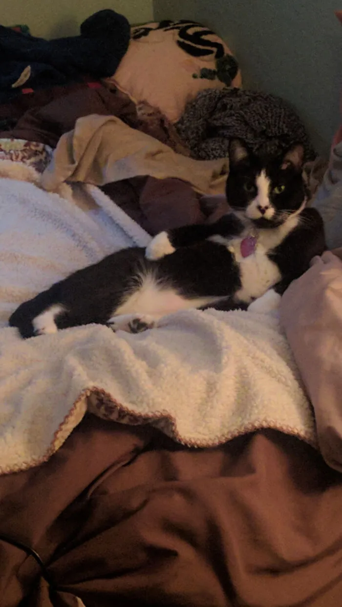 Should've Named Him George Costanza