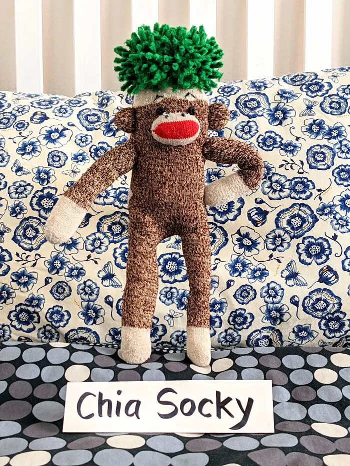 During The Pandemic, I Try To Amuse My Wife With This Sock Monkey, And I Hope It Will Amuse You Too (60 New Pics)