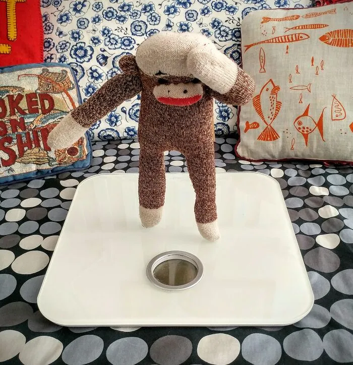 During The Pandemic, I Try To Amuse My Wife With This Sock Monkey, And I Hope It Will Amuse You Too (60 New Pics)