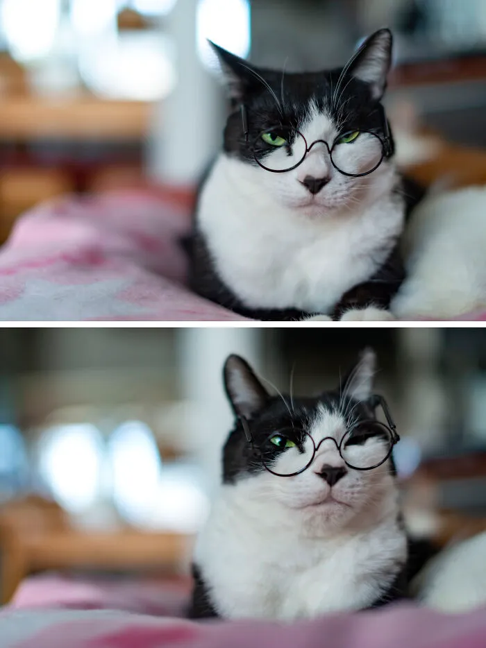 Tj (Tuxedo Jones)