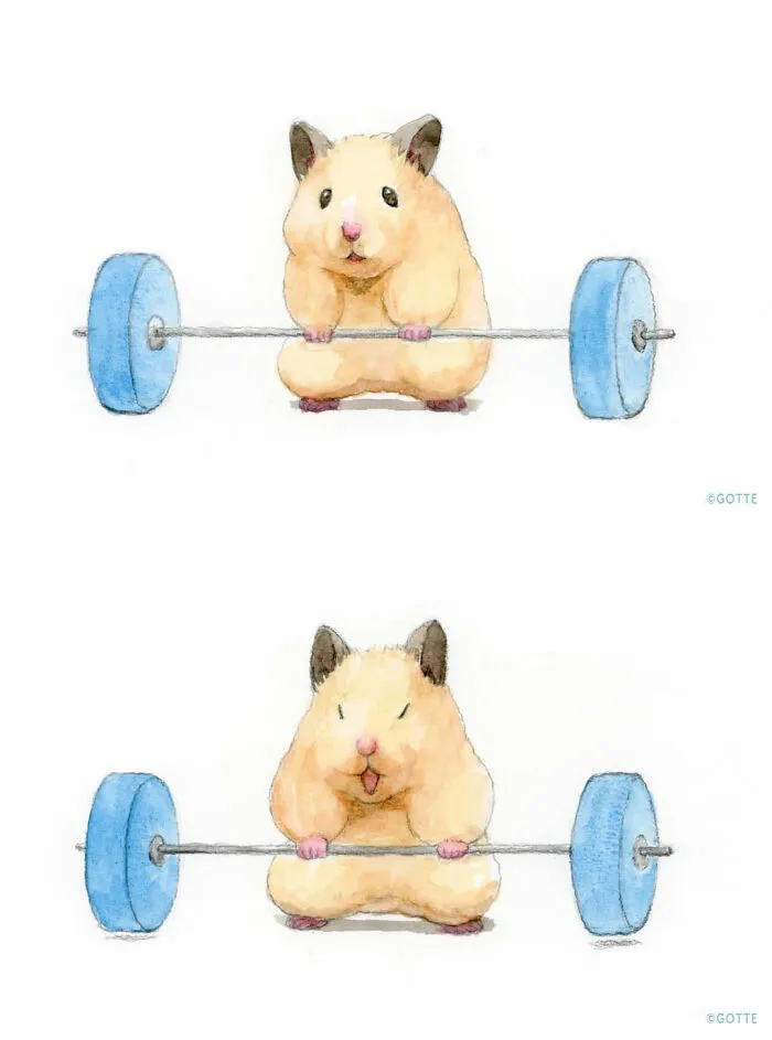 157 More Wholesome Illustrations Of A Hamster Named Sukeroku By Gotte
