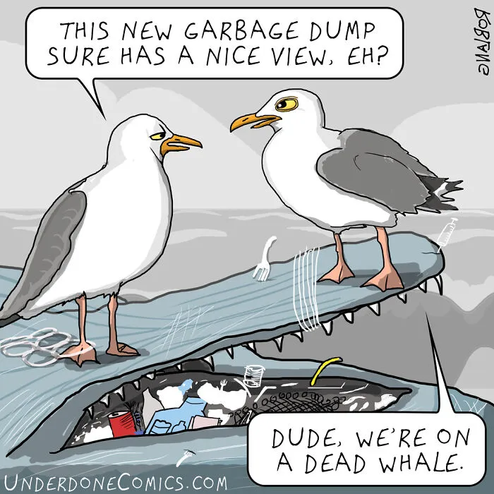 I Draw Comics To Show How Plastic Waste Affects Marine Life (30 Pics)