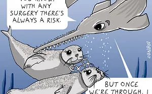 I Draw Comics To Show How Plastic Waste Affects Marine Life (30 Pics)