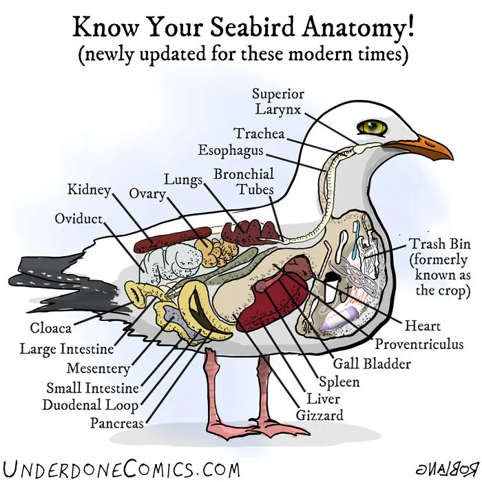 I Draw Comics To Show How Plastic Waste Affects Marine Life (30 Pics)