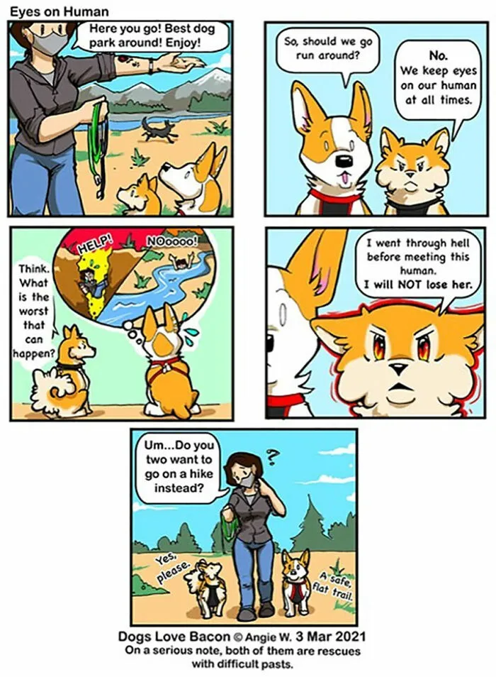 I Illustrate My Life With Two Rescue Dogs, And Here Are My Best 19 Comics