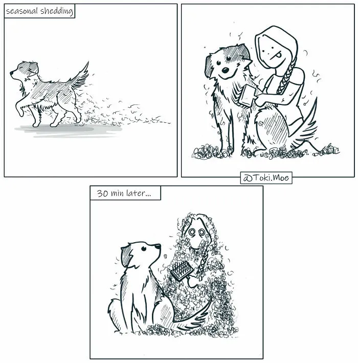 Here Are 30 More Relatable Comics About Life With Animals