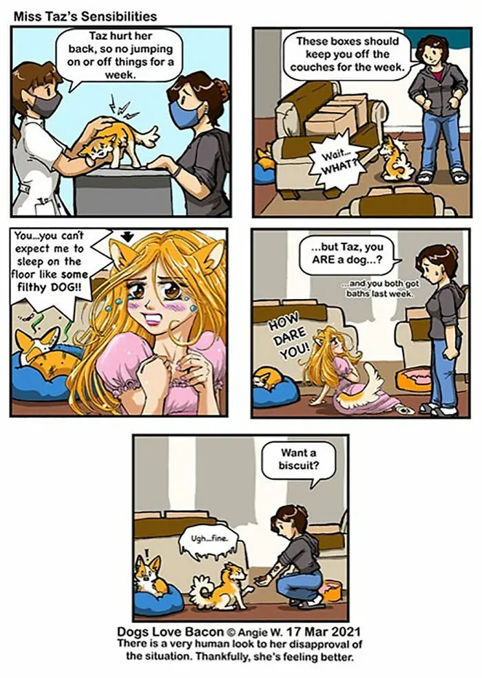 I Illustrate My Life With Two Rescue Dogs, And Here Are My Best 19 Comics